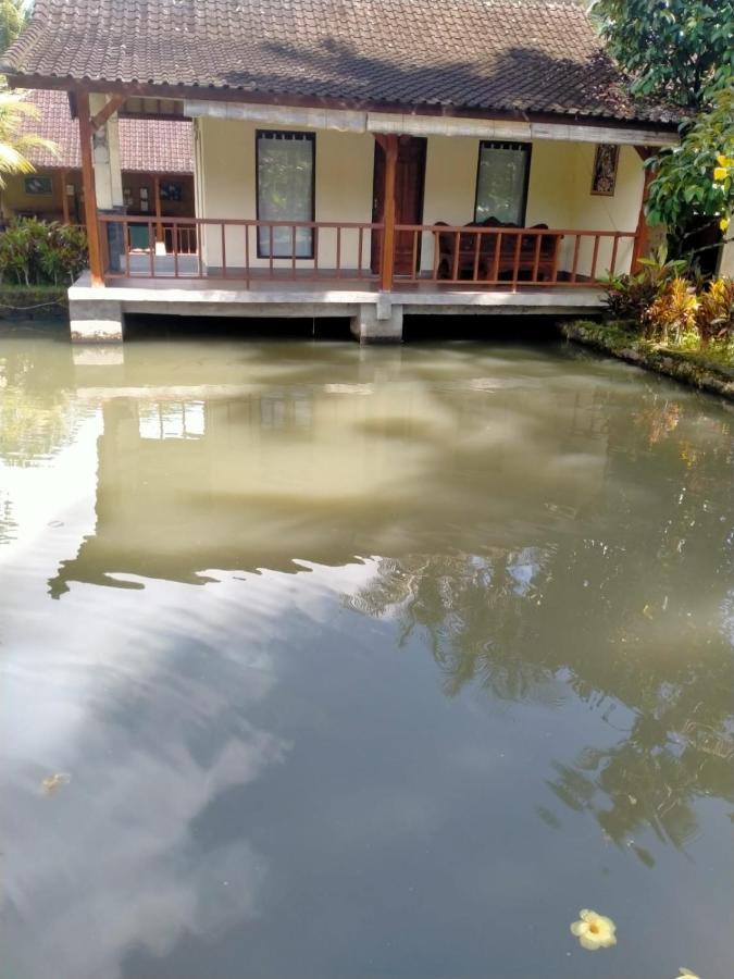 Villa Uma Ayu Sidemen サイドメン エクステリア 写真