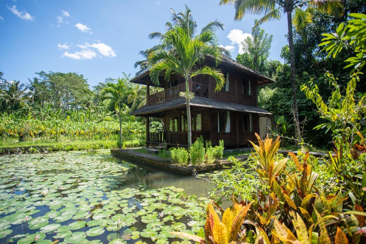 Villa Uma Ayu Sidemen サイドメン エクステリア 写真