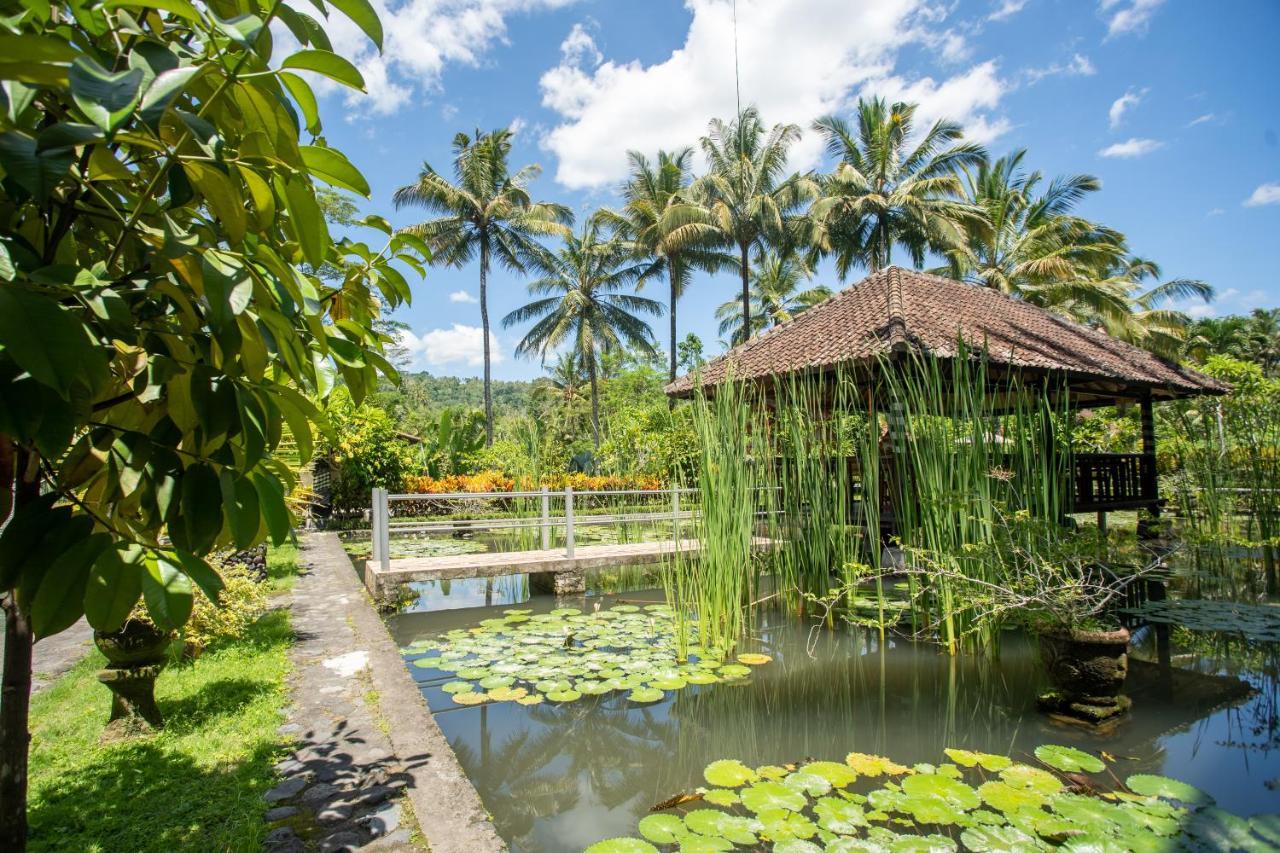 Villa Uma Ayu Sidemen サイドメン エクステリア 写真